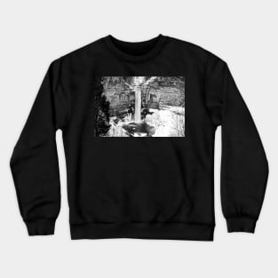 Taughannock Falls Trumansburg NY Winter Snow Crewneck Sweatshirt